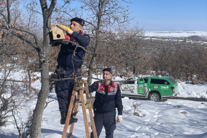 AKSARAY JANDARMA’DAN YABAN KUŞLARI İÇİN ANLAMLI ÇALIŞMA